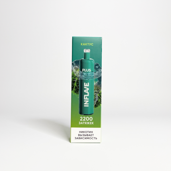 inflave Plus 2200 Кактус
