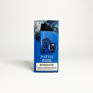 Pafos 8000 Черная мята