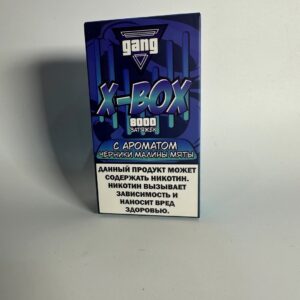 Gang Box 8000 Черника малина мята