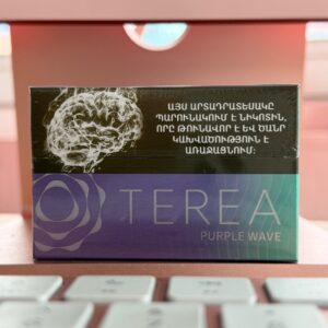 TEREA Purple wave Ментол лесные ягоды черника (Армения)