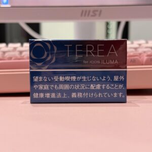 TEREA Ruby regular Табак с черникой и красными ягодами (Япония)