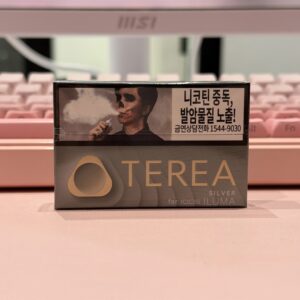 TEREA Silver табак с пряными травами (Корея)